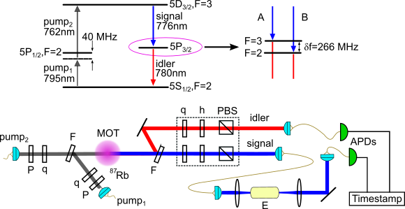 collinear setup